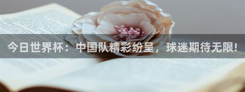 世界直播:今日世界杯:中国队精彩纷呈,球迷期待无限!