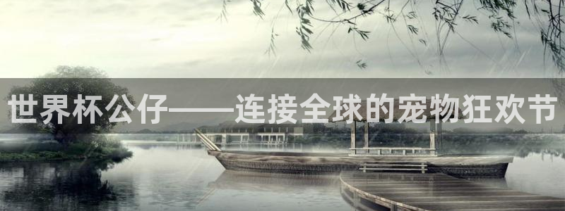 亚洲杯比赛直播:世界杯公仔——连接全球的宠物狂欢节