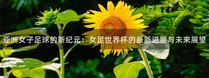 世界杯足球比赛:亚洲女子足球的新纪元:女足世界杯的最新进展与未来展望