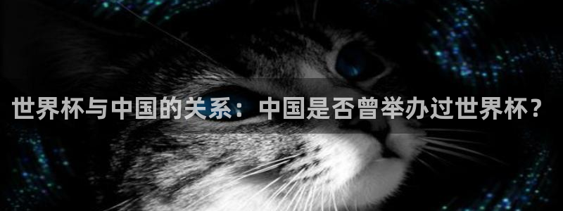 2026葡萄牙杯赛程表:世界杯与中国的关系:中国是否曾举办过世界杯?