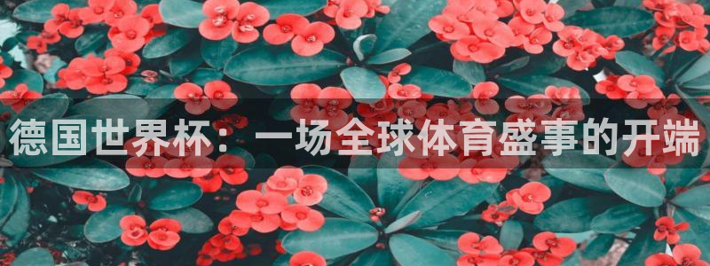 世界杯足球比赛:德国世界杯:一场全球体育盛事的开端