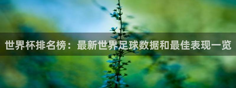 世界杯比赛时间:世界杯排名榜:最新世界足球数据和最佳表现一览